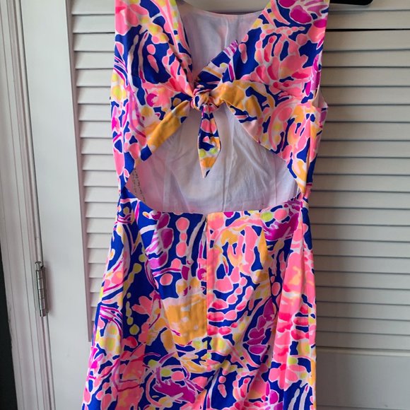 Lilly Pulitzer Courtney Shift NWT - Picture 3 of 3